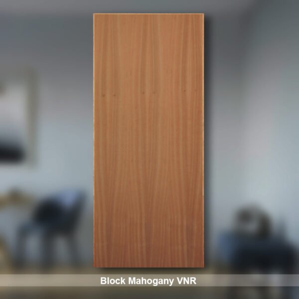 Block Doors - Image 5