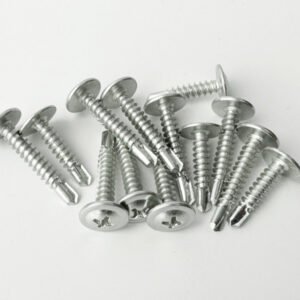Wafer Head Screws