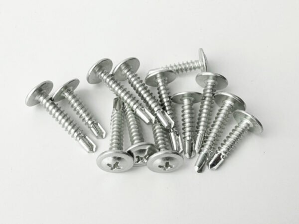 Wafer Head Screws